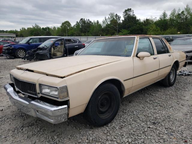 CHEVROLET CAPRICE 1989 1g1bl51e1kr165893