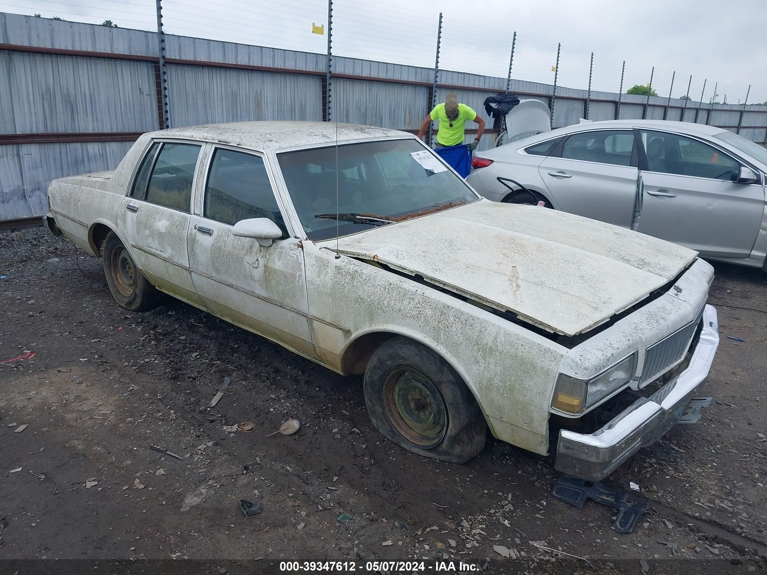 CHEVROLET CAPRICE 1989 1g1bl51e6kr134851