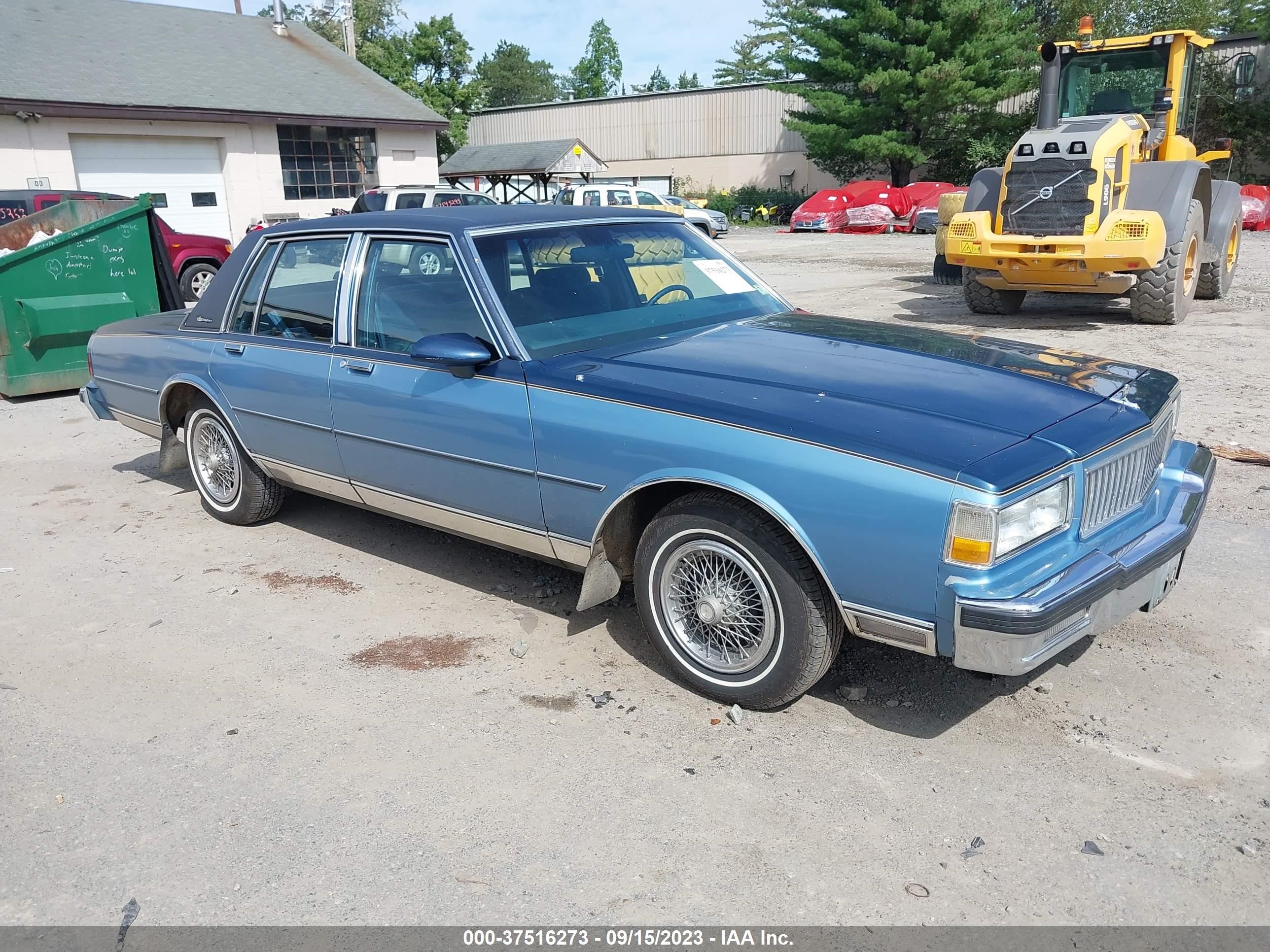 CHEVROLET CAPRICE 1989 1g1bu51e1ka154484