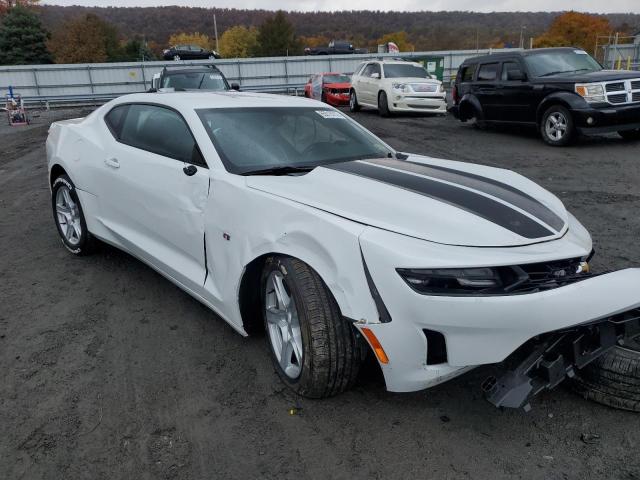 CHEVROLET CAMARO LS 2019 1g1fb1rxxk0103531