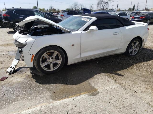 CHEVROLET CAMARO LS 2019 1g1fb3dx9k0109890