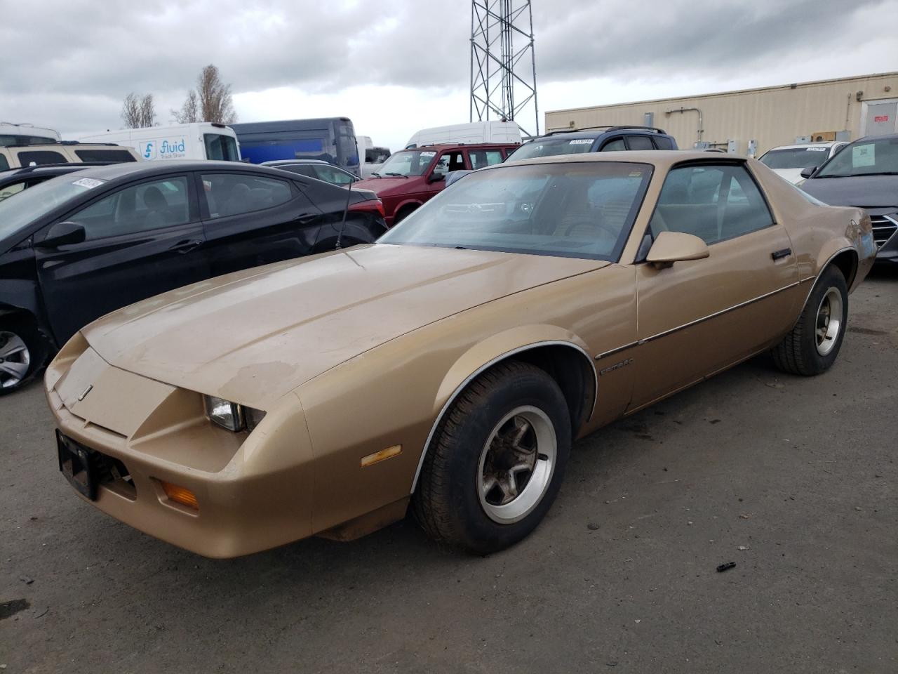 CHEVROLET CAMARO 1985 1g1fp87s9fl416138