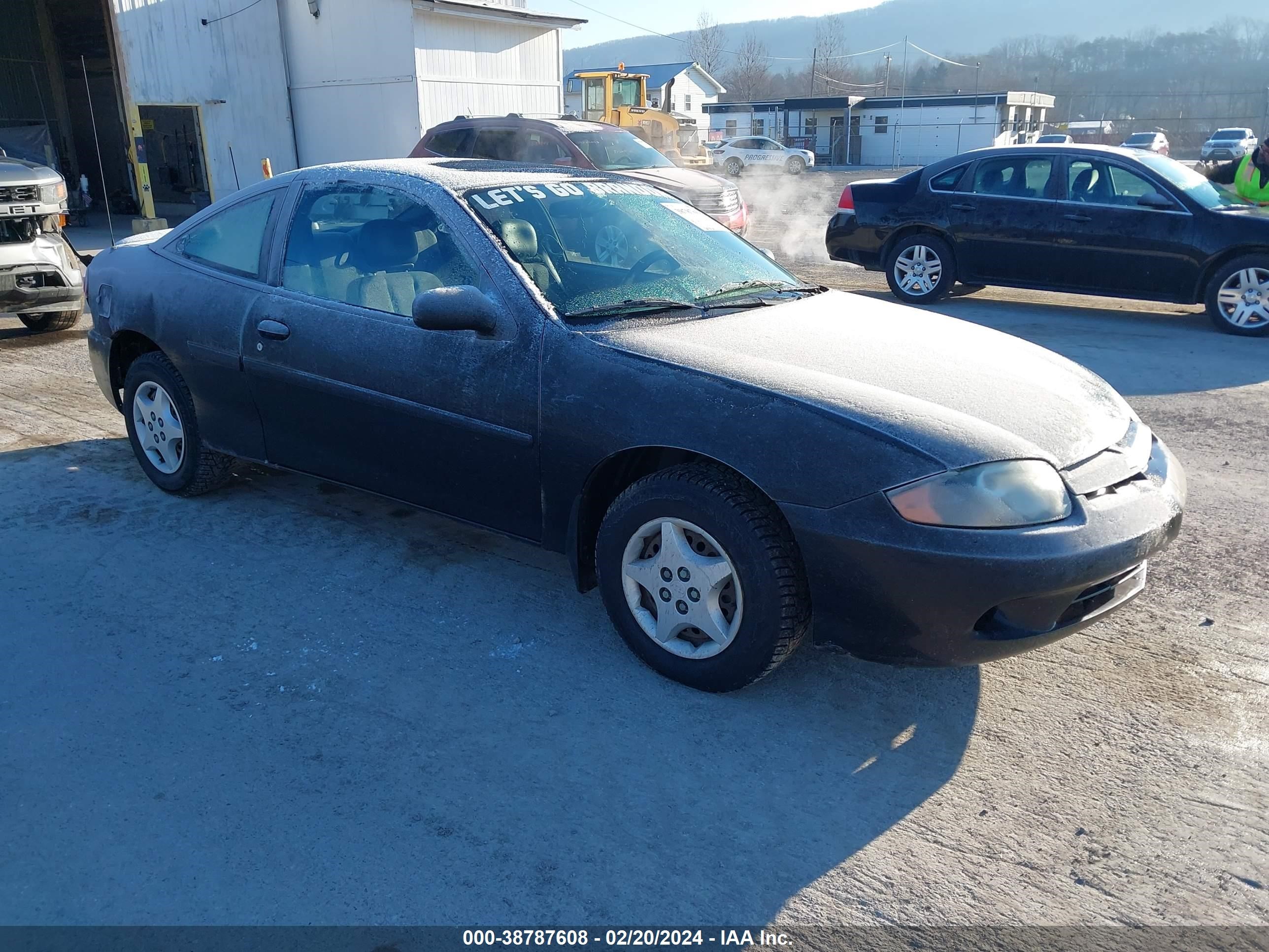 CHEVROLET CAVALIER 2003 1g1jc12f837213818