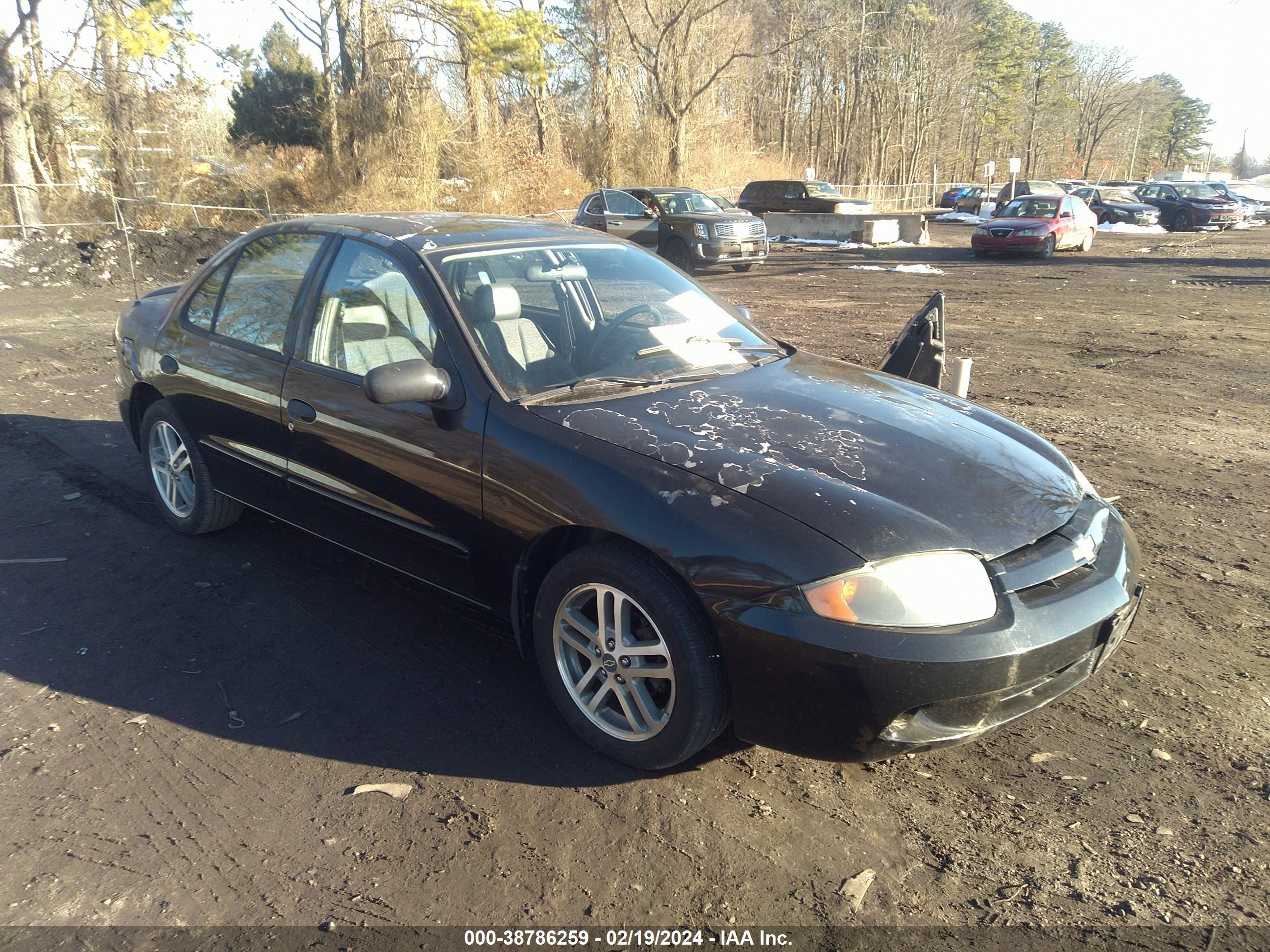 CHEVROLET CAVALIER 2003 1g1jc52f037379791