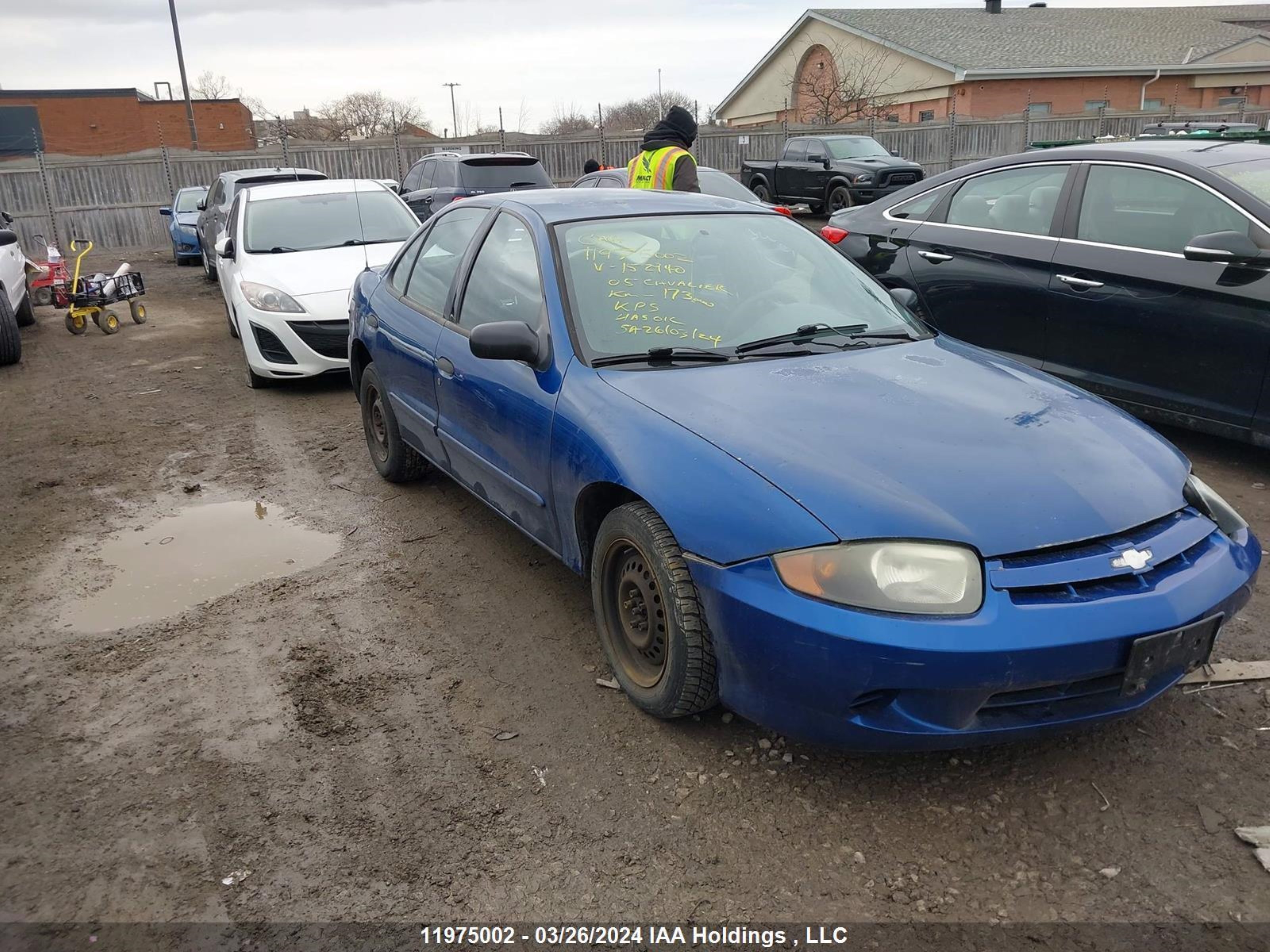 CHEVROLET CAVALIER 2005 1g1jc52f357152940