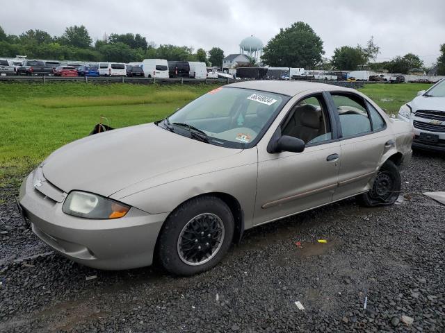 CHEVROLET CAVALIER 2003 1g1jc52f437139188