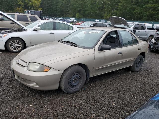 CHEVROLET CAVALIER 2003 1g1jc52fx37318173