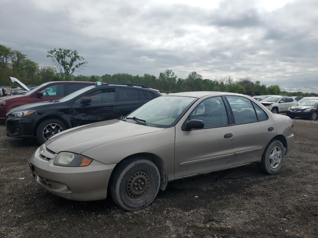 CHEVROLET CAVALIER 2004 1g1jc52fx47170219