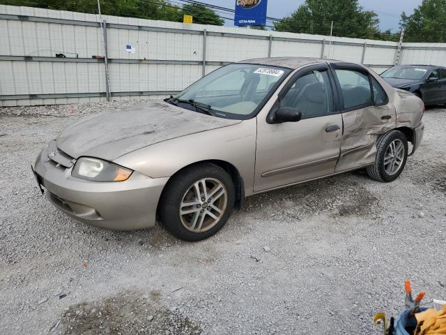 CHEVROLET CAVALIER 2004 1g1jc52fx47369285