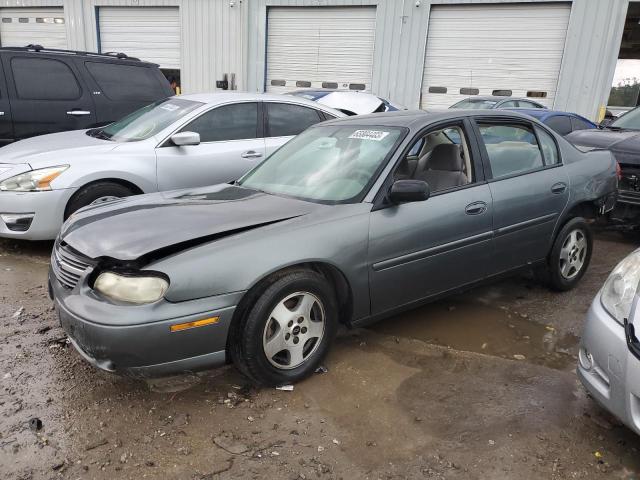 CHEVROLET MALIBU 2005 1g1nd52f05m162910