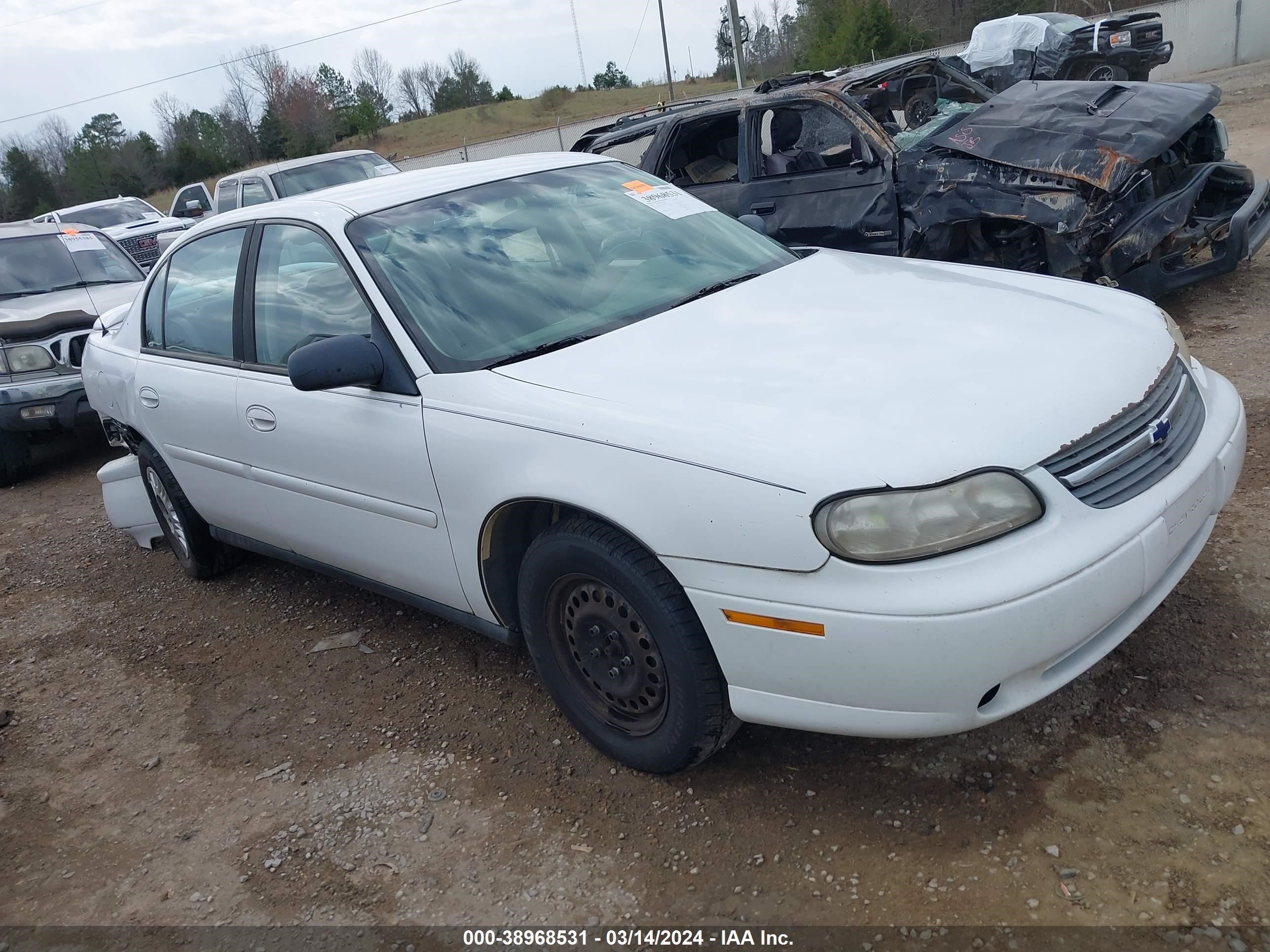 CHEVROLET CLASSIC 2004 1g1nd52f14m621960