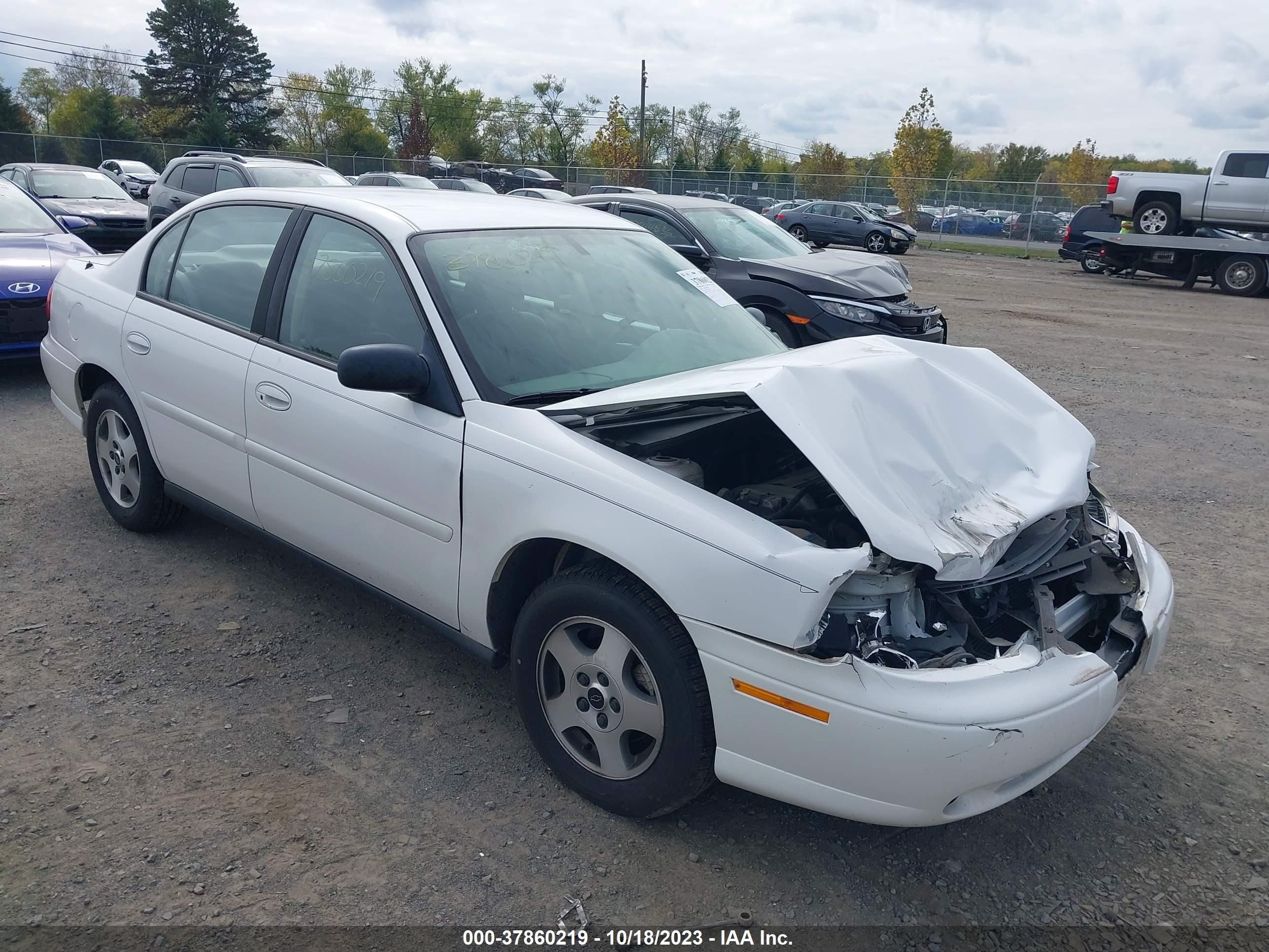 CHEVROLET CLASSIC 2004 1g1nd52f24m708721