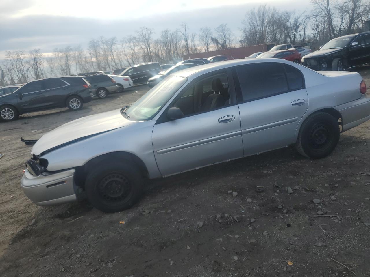 CHEVROLET MALIBU 2005 1g1nd52f25m197058