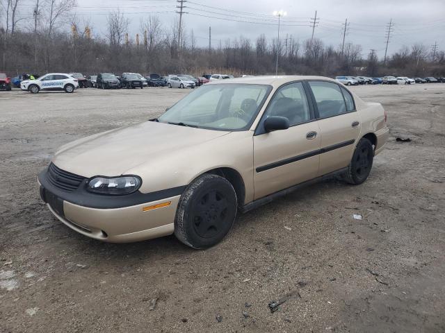 CHEVROLET MALIBU 2004 1g1nd52f44m680355