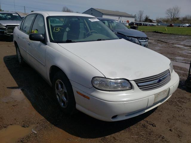 CHEVROLET MALIBU 2005 1g1nd52f45m154115