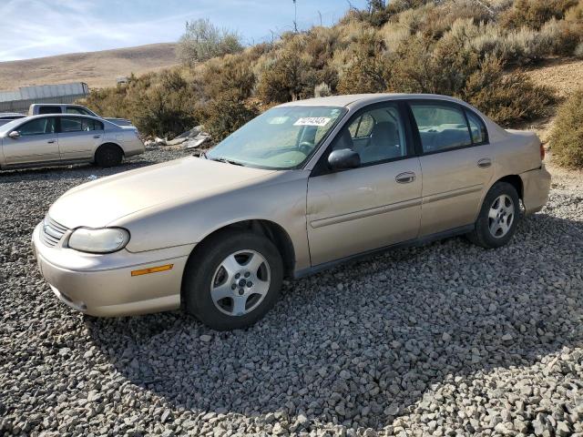 CHEVROLET MALIBU 2005 1g1nd52f45m245904