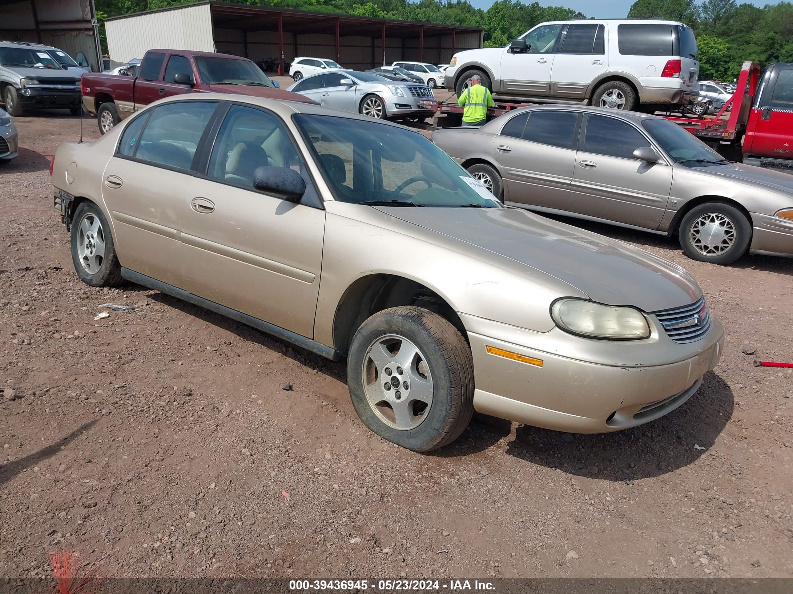 CHEVROLET CLASSIC 2004 1g1nd52f64m614082