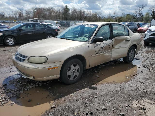 CHEVROLET MALIBU 2004 1g1nd52f64m618293