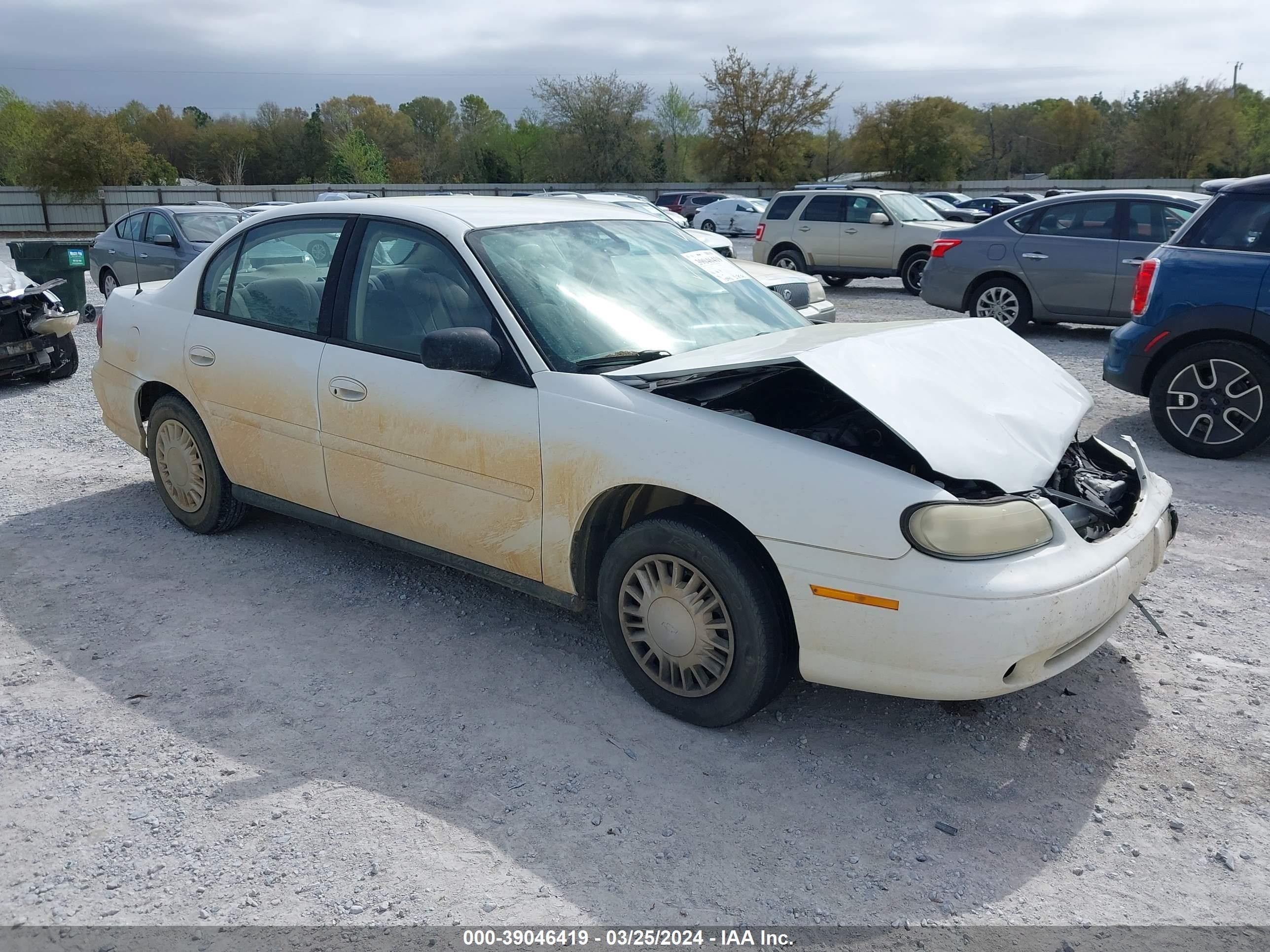 CHEVROLET CLASSIC 2005 1g1nd52f65m141804