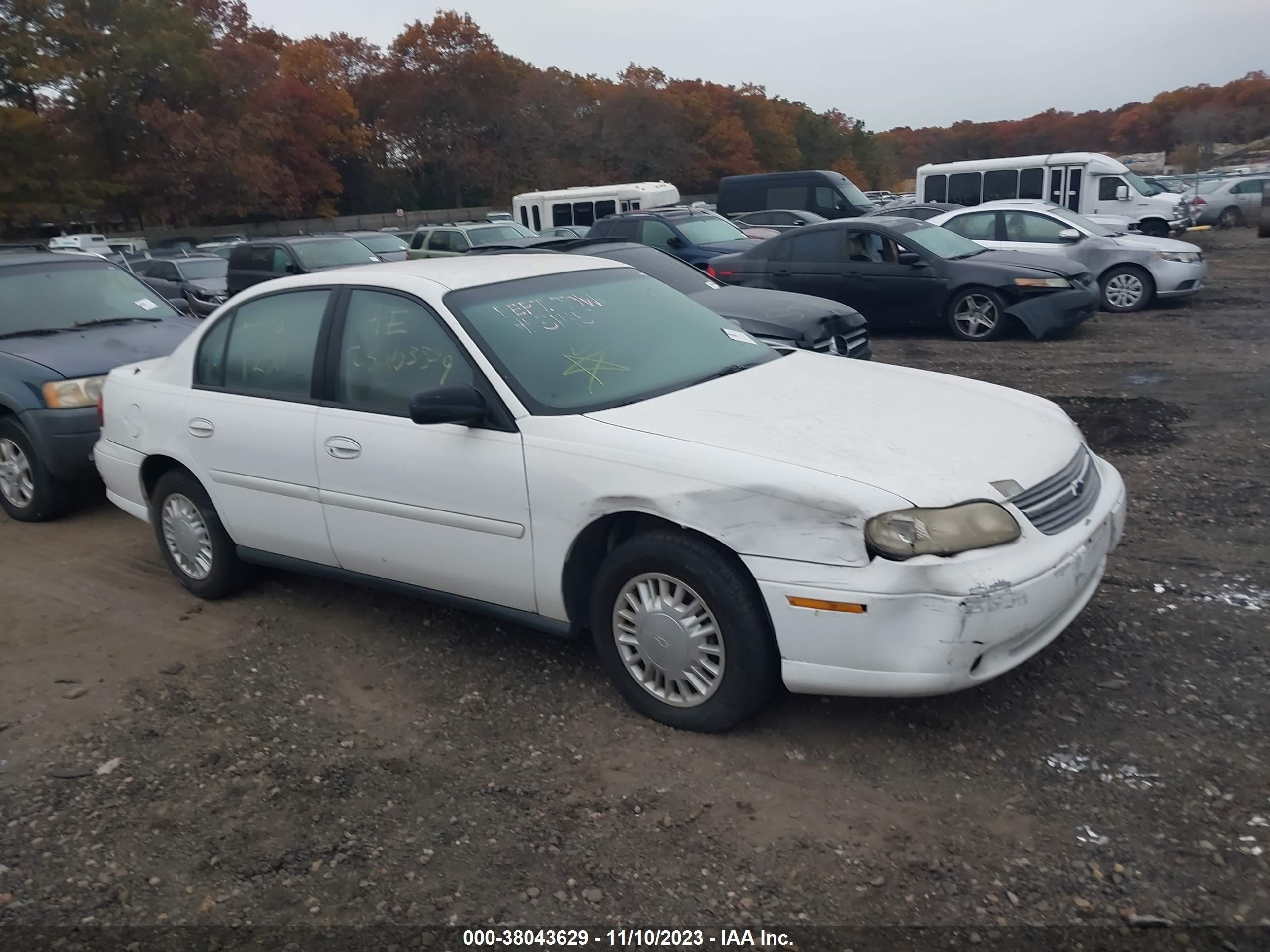 CHEVROLET CLASSIC 2004 1g1nd52f74m598555