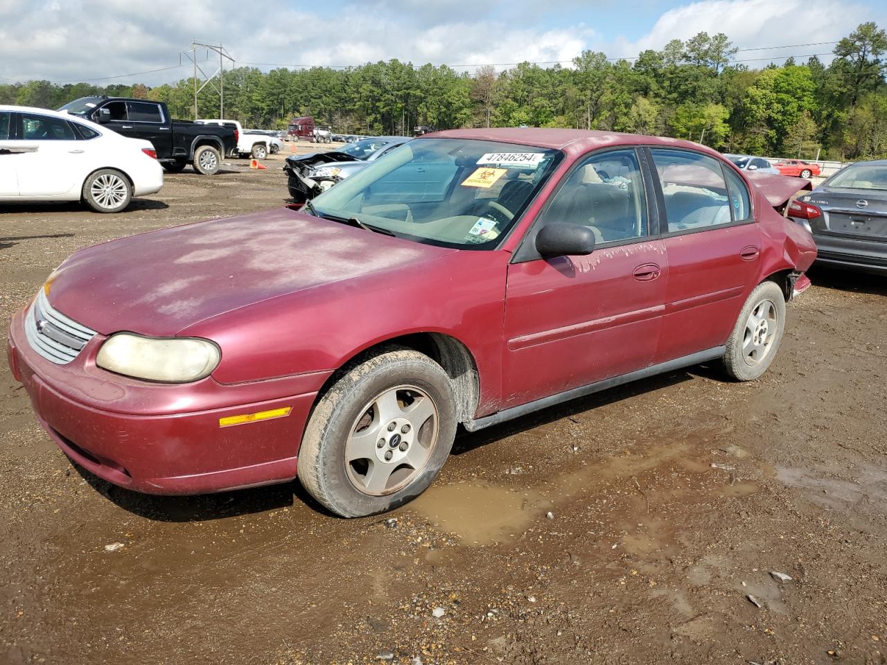 CHEVROLET MALIBU 2005 1g1nd52f75m201993