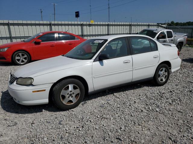 CHEVROLET CLASSIC 2005 1g1nd52f75m240423