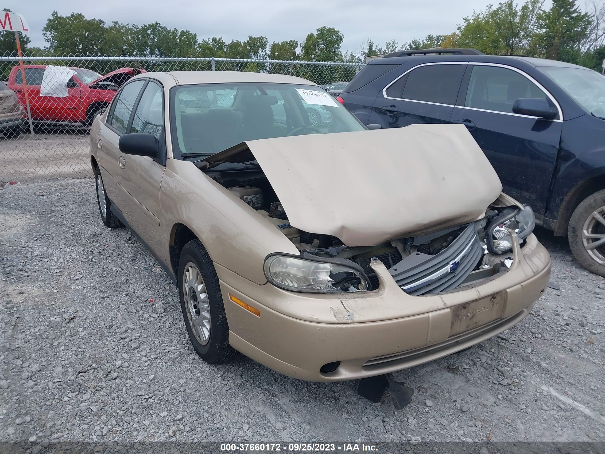 CHEVROLET CLASSIC 2005 1g1nd52f95m125970