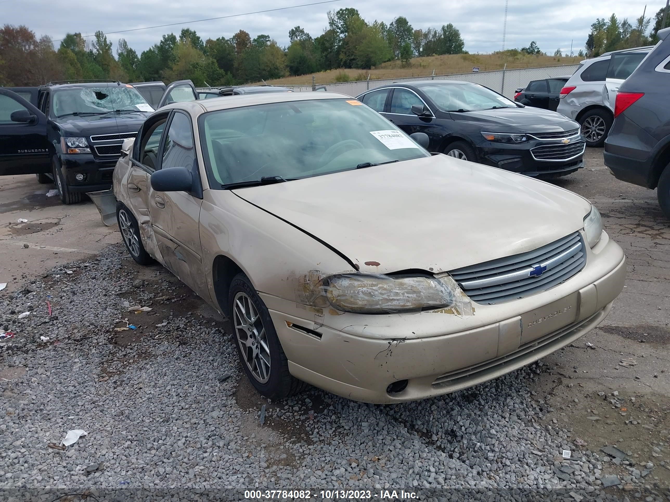 CHEVROLET CLASSIC 2005 1g1nd52f95m159665