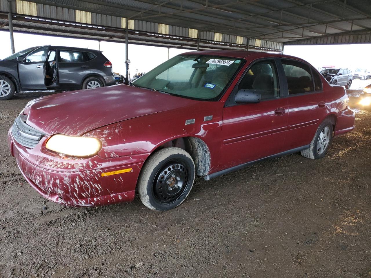 CHEVROLET MALIBU 2005 1g1nd52f95m201879