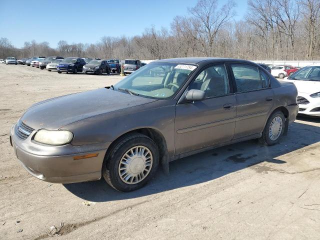 CHEVROLET MALIBU 2002 1g1nd52j02m524881