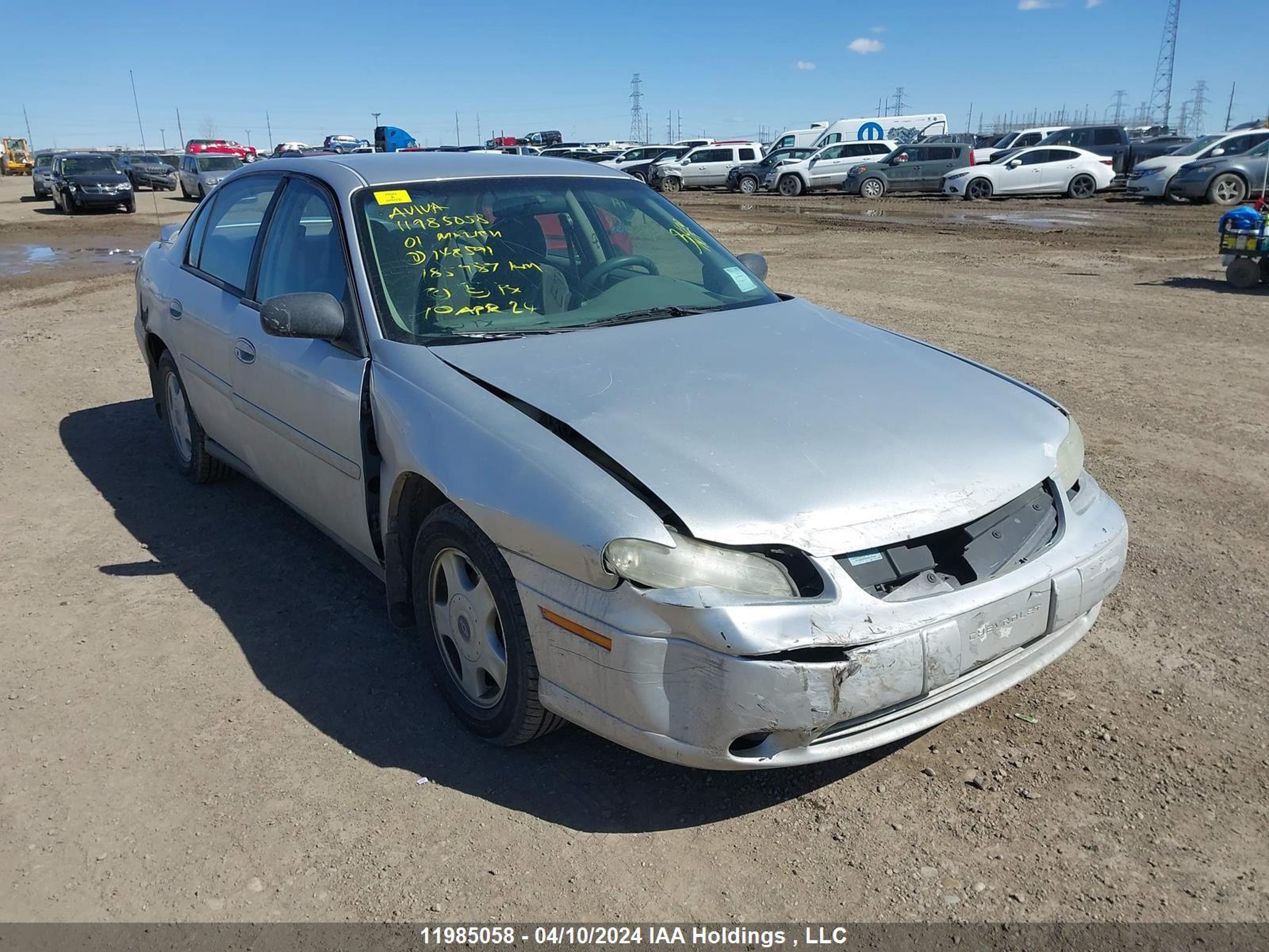 CHEVROLET MALIBU 2001 1g1nd52j216148591