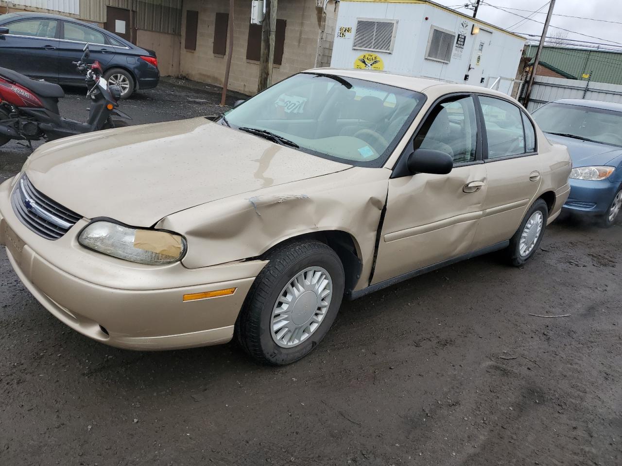 CHEVROLET MALIBU 2001 1g1nd52j316140905