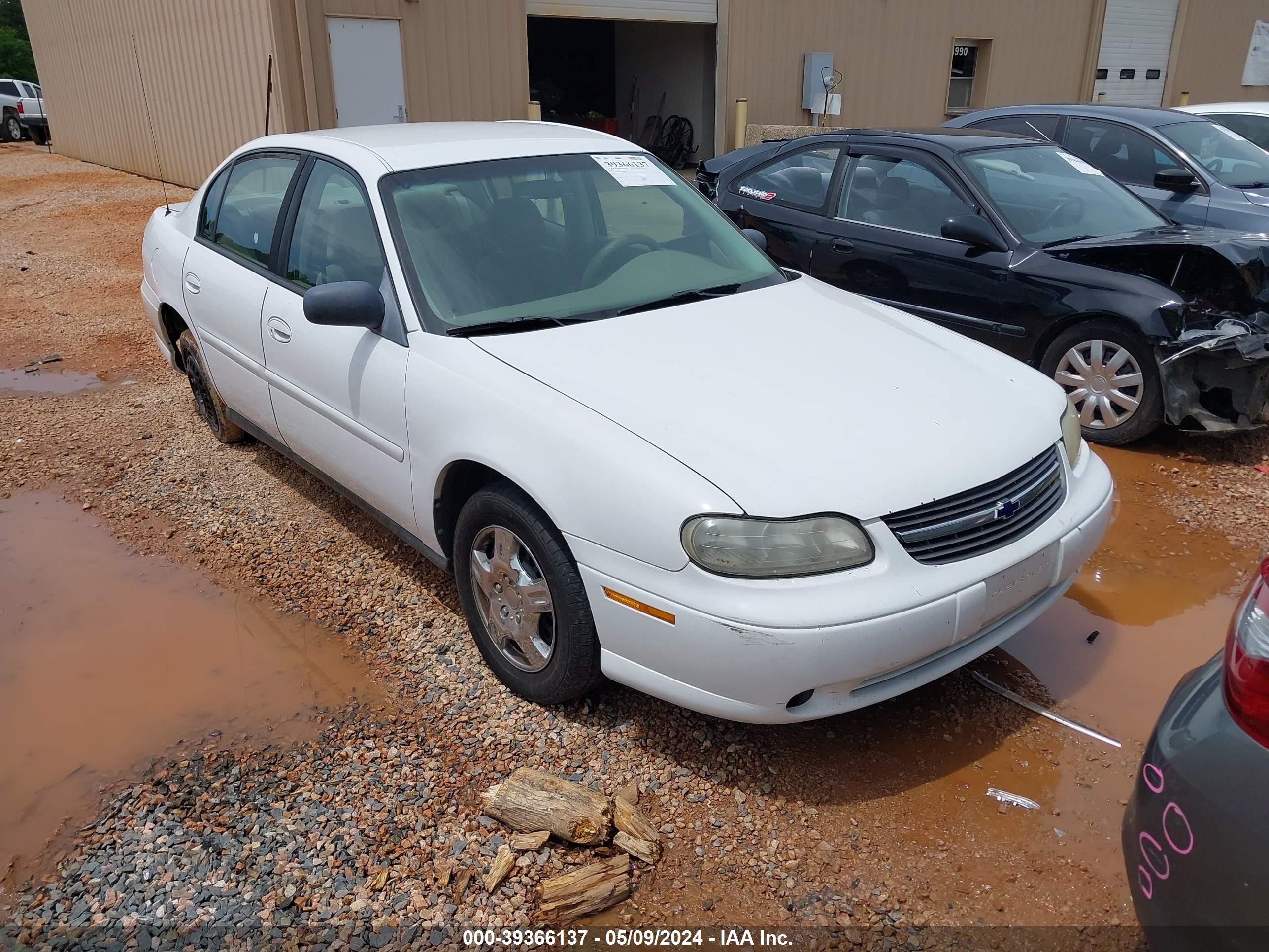 CHEVROLET MALIBU 2001 1g1nd52j316225484