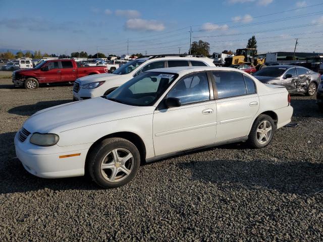 CHEVROLET MALIBU 2001 1g1nd52j416196142