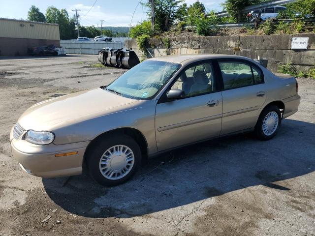 CHEVROLET MALIBU 2001 1g1nd52j416229396