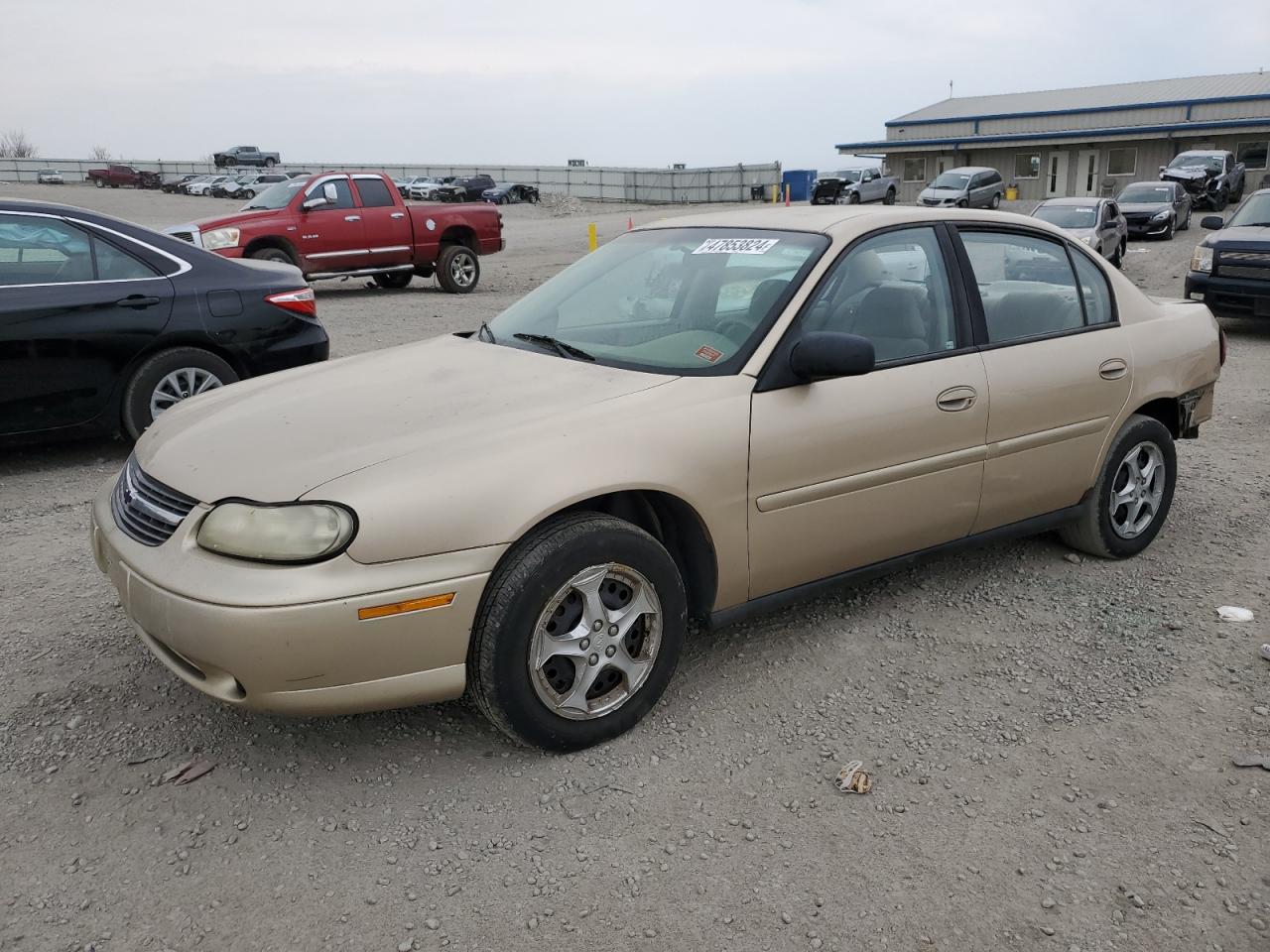 CHEVROLET MALIBU 2003 1g1nd52j43m556542