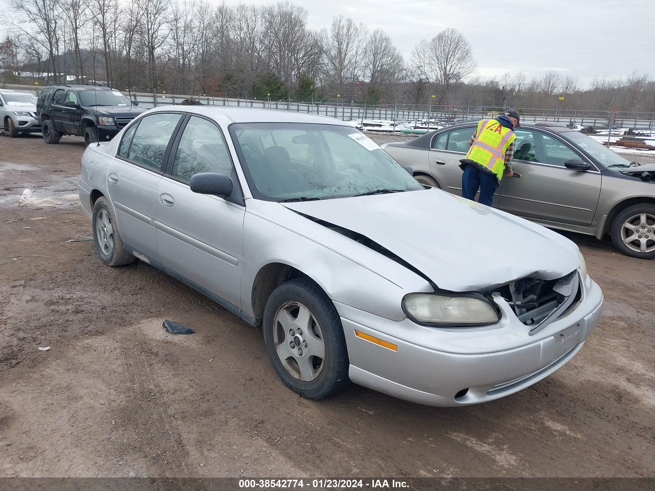 CHEVROLET MALIBU 2002 1g1nd52j52m517828