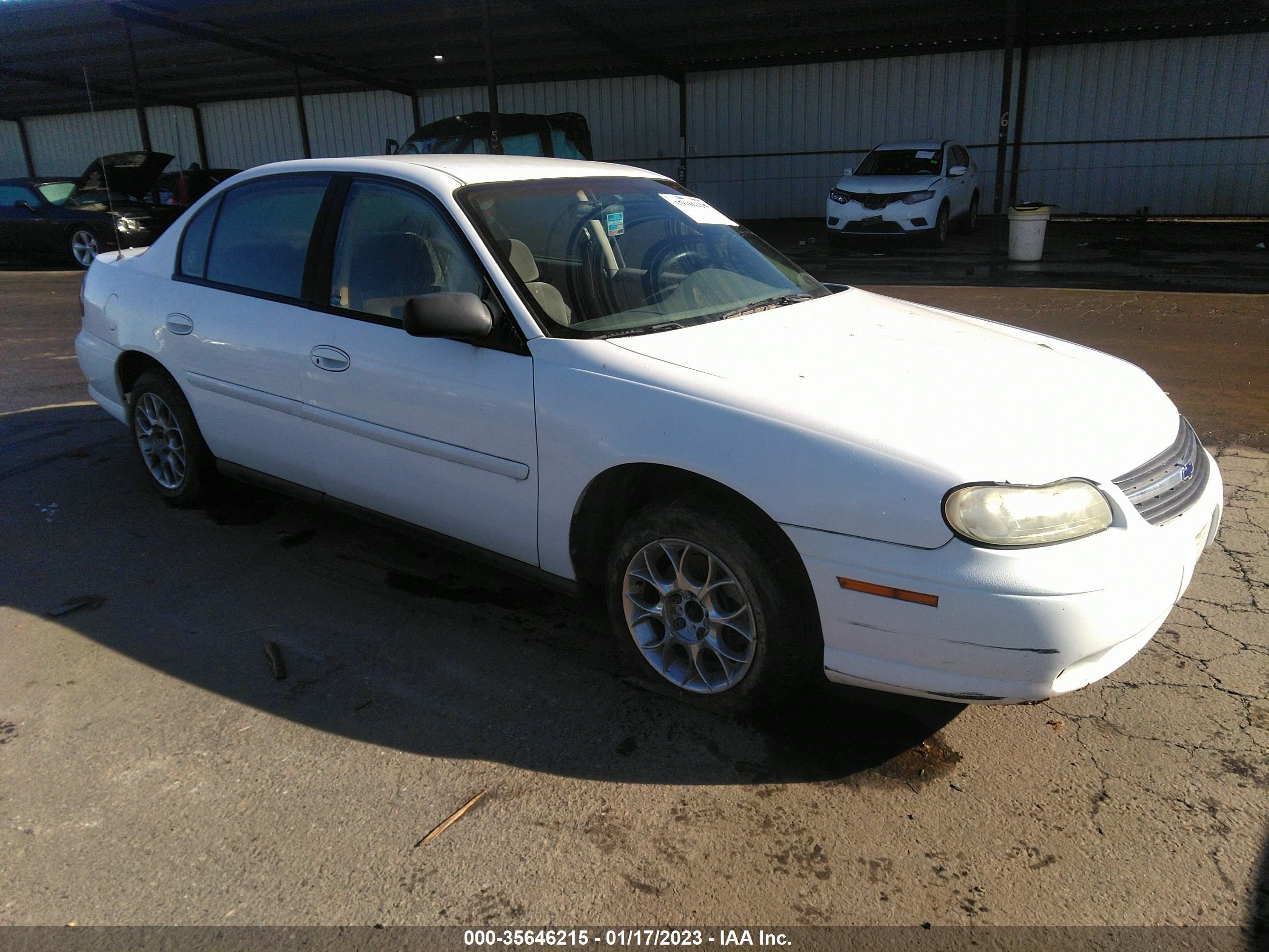 CHEVROLET MALIBU 2001 1g1nd52j61m553199