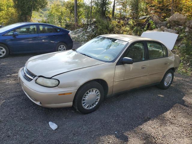 CHEVROLET MALIBU 2002 1g1nd52j82m587338