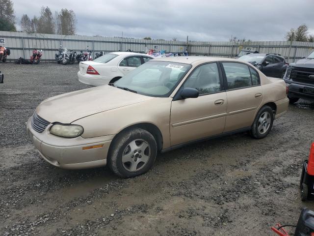 CHEVROLET MALIBU 2003 1g1nd52j83m733447