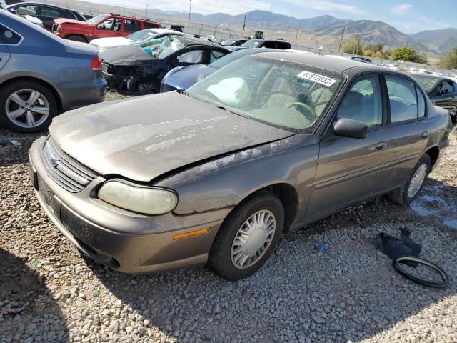 CHEVROLET MALIBU 2001 1g1nd52j916117208