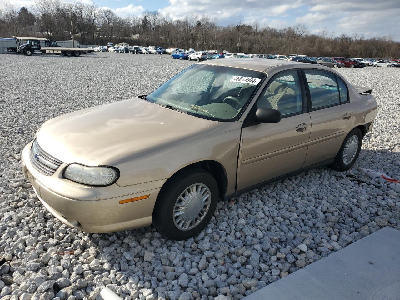 CHEVROLET MALIBU 2003 1g1nd52j93m560828