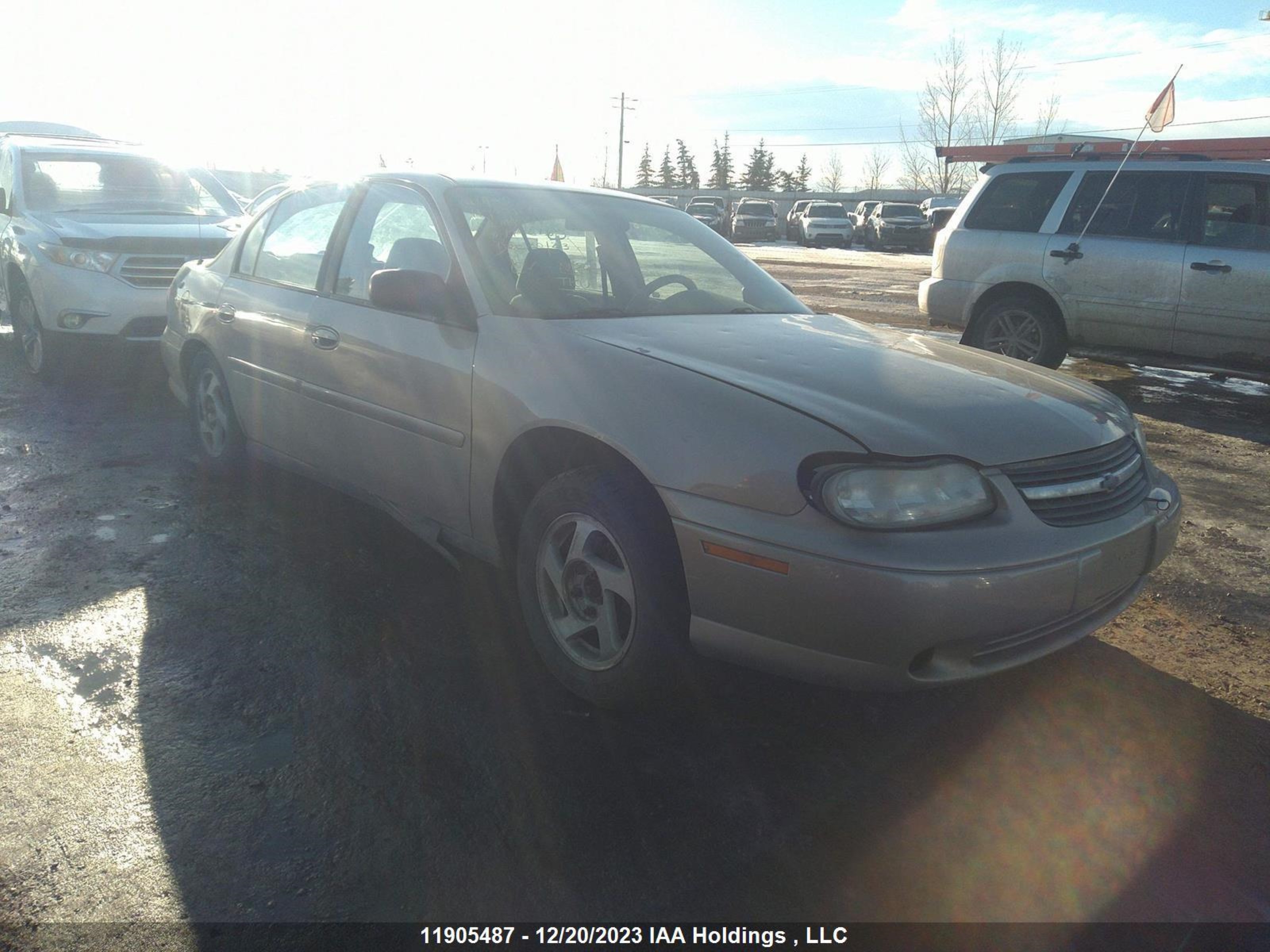 CHEVROLET MALIBU 2002 1g1nd52jx2m719676