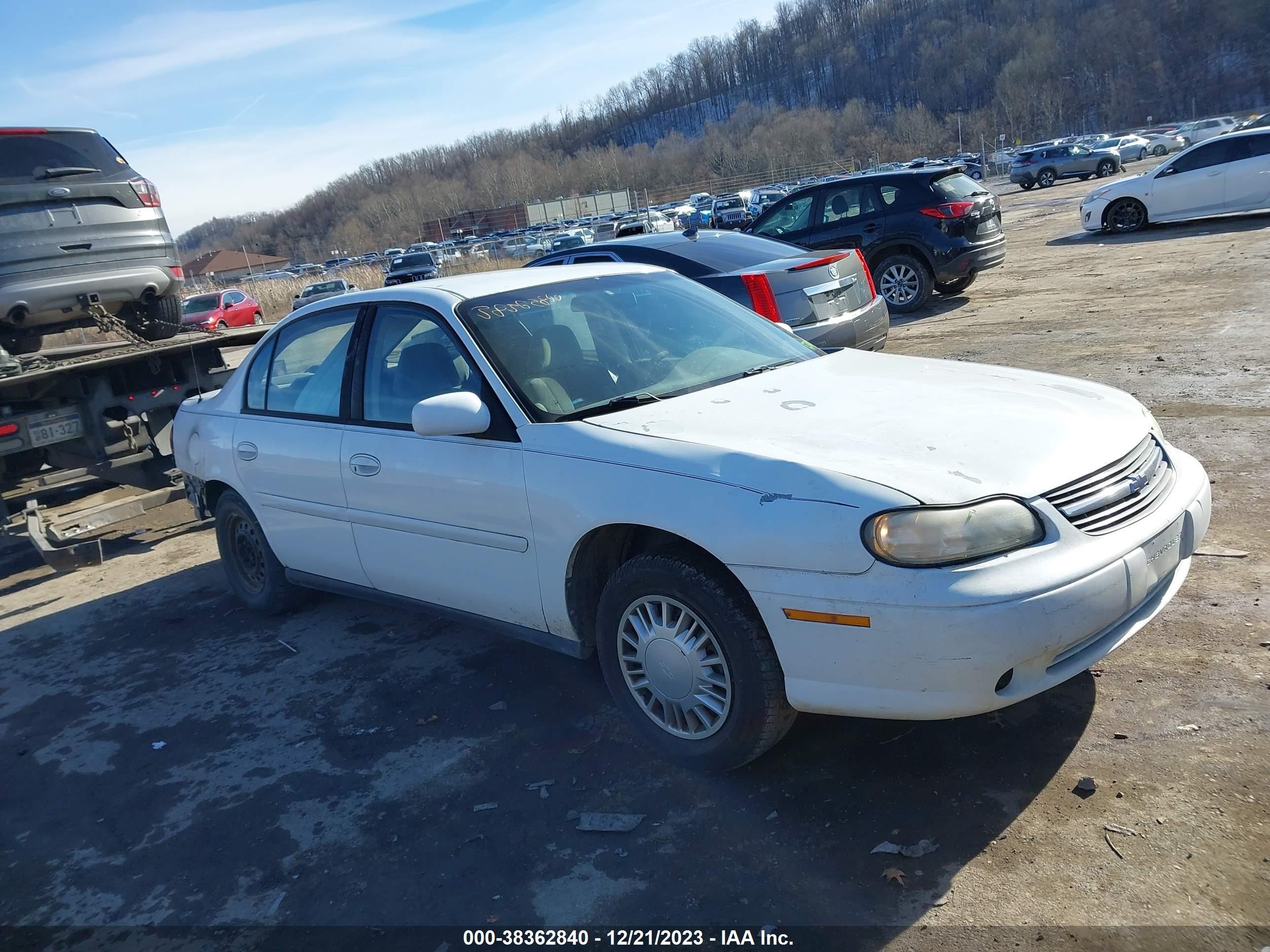 CHEVROLET MALIBU 1999 1g1nd52m0x6141142