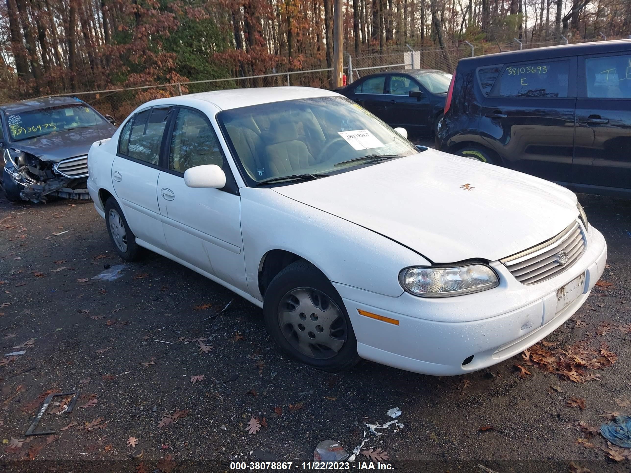 CHEVROLET MALIBU 1999 1g1nd52m7xy129011