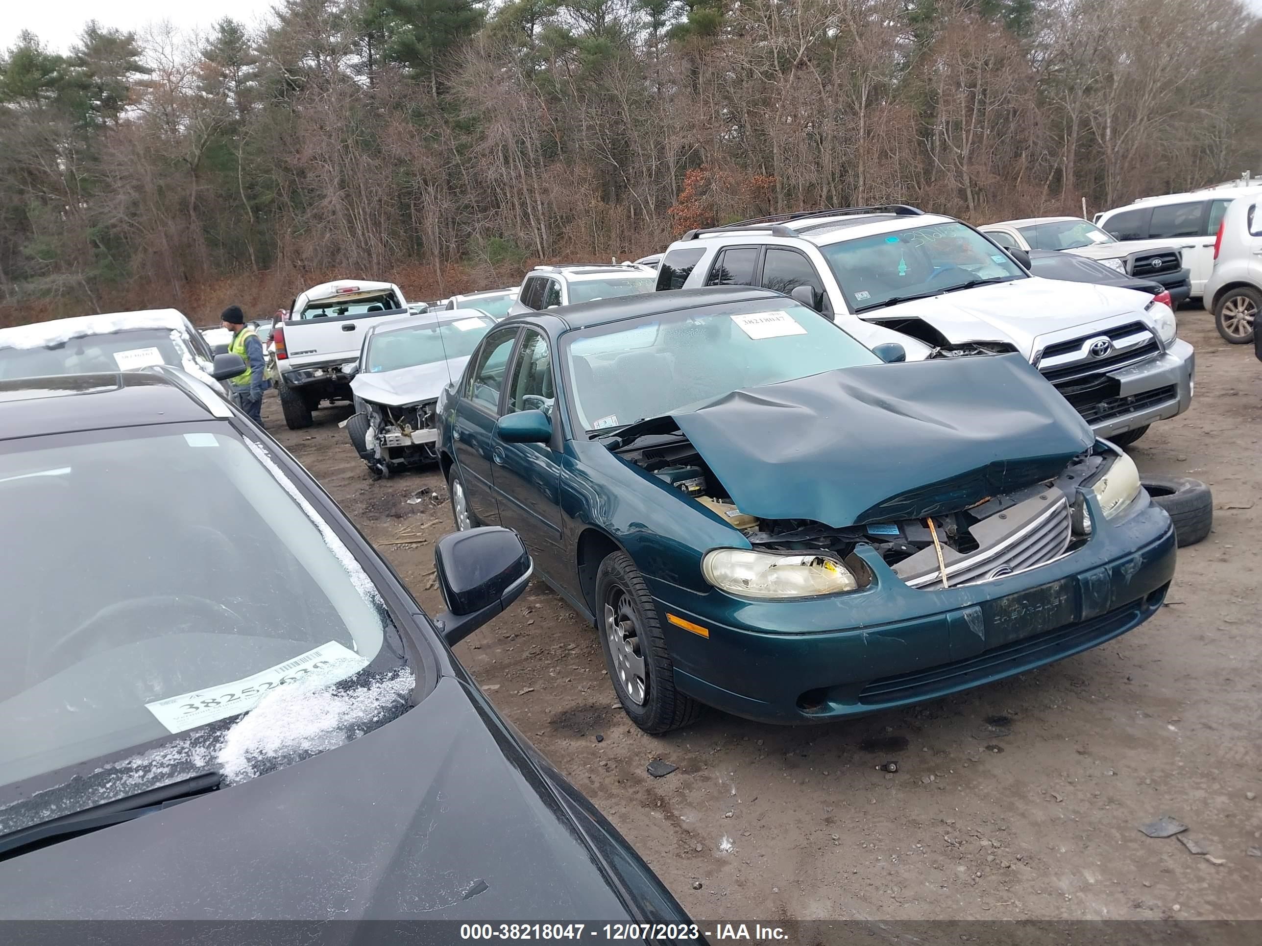 CHEVROLET MALIBU 1998 1g1nd52mxwy121824