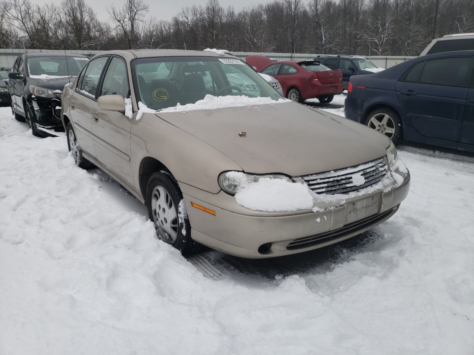 CHEVROLET MALIBU 1999 1g1nd52t0x6256413