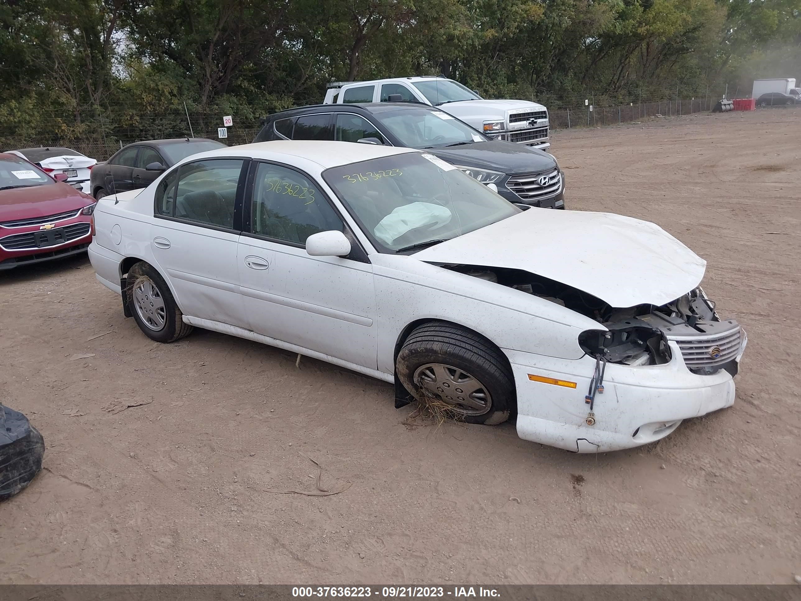 CHEVROLET MALIBU 1999 1g1nd52t4xy116840