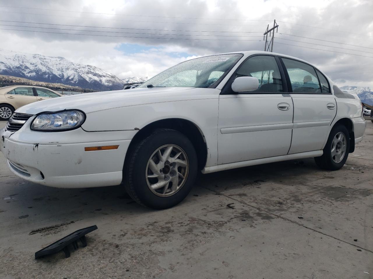 CHEVROLET MALIBU 2001 1g1ne52j016196216