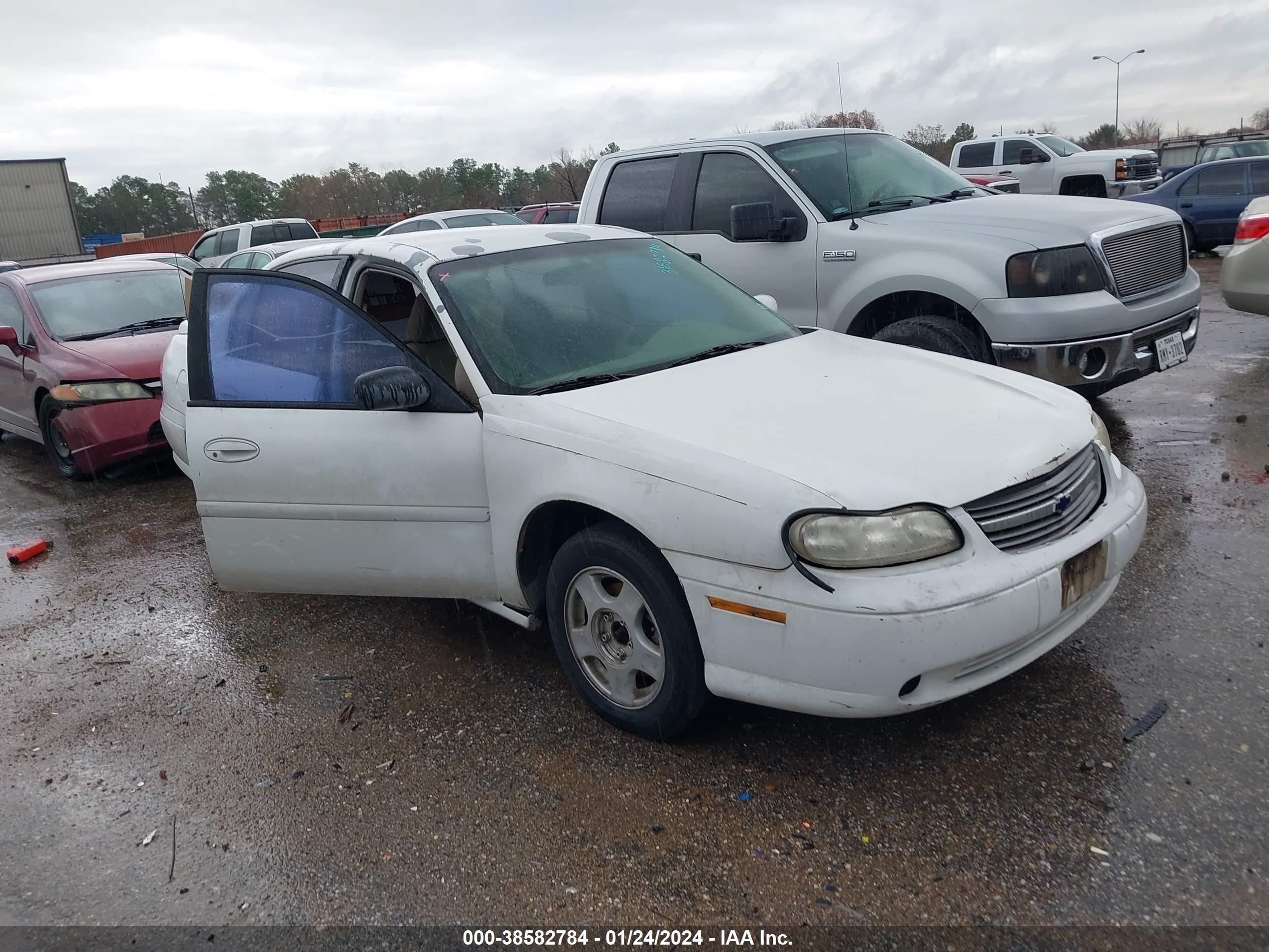 CHEVROLET MALIBU 2001 1g1ne52j016225505